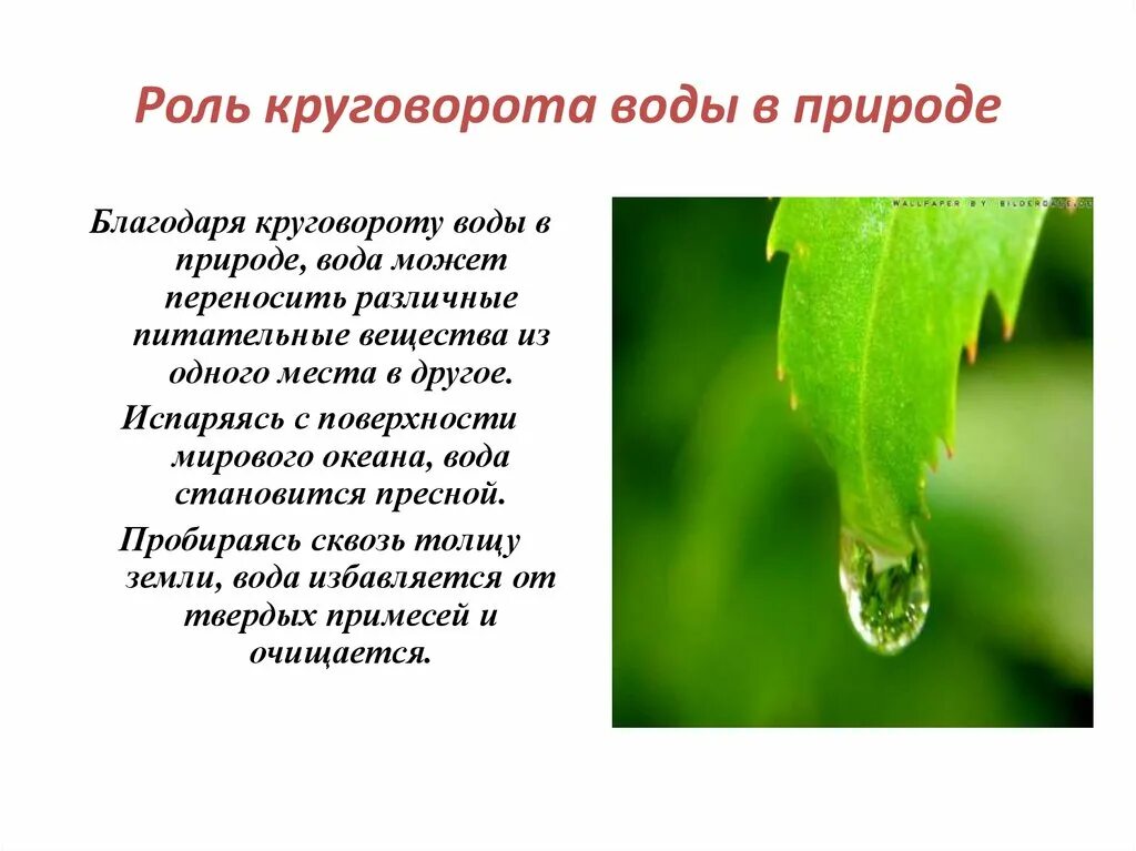 Стихотворение про круговорот воды в природе. Стих про круговорот воды в природе. Превращения воды в природе. Превращение и круговорот воды в природе. Состояние окружающей мир 3 класс