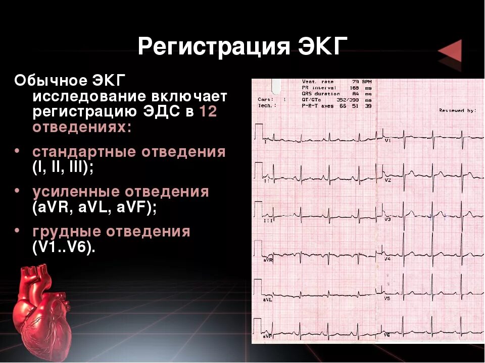 Сколько годно экг