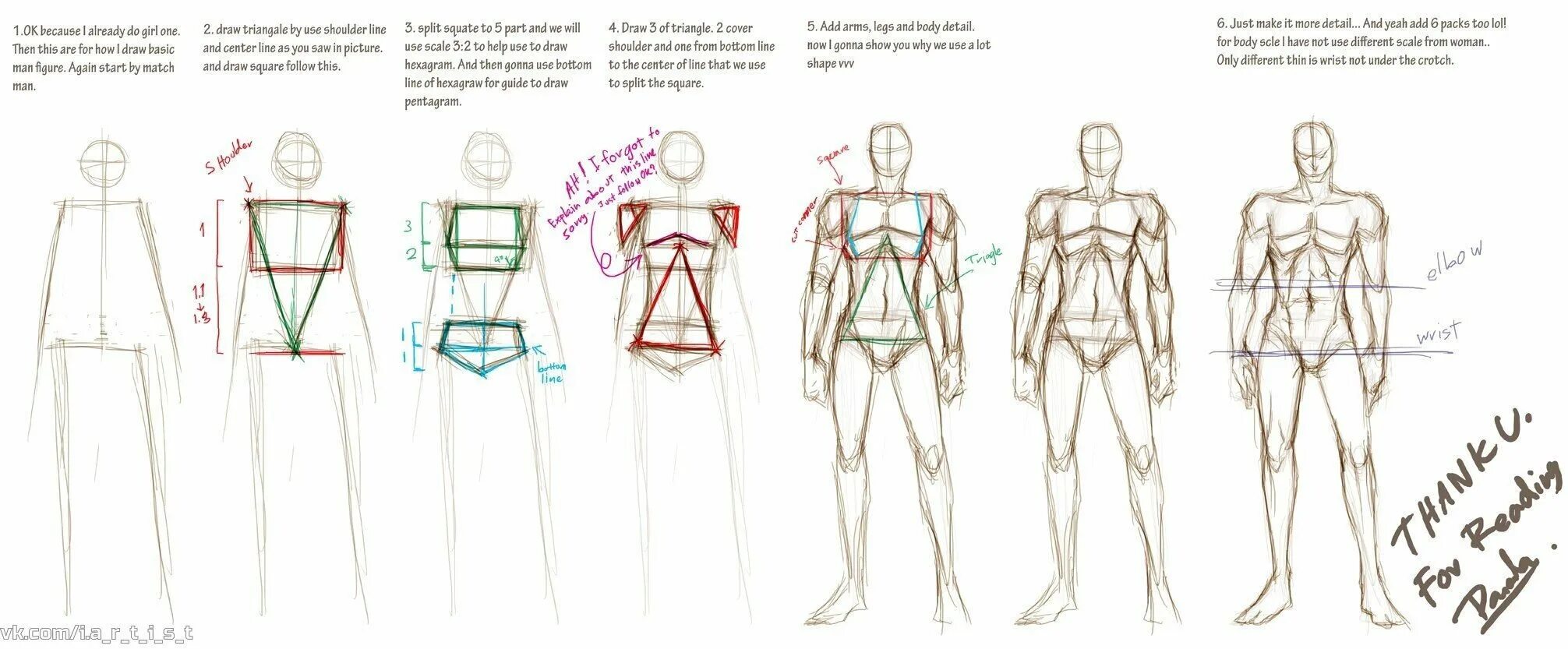 Анатомия человека для рисования для начинающих в полный рост. Референсы пропорции тела.