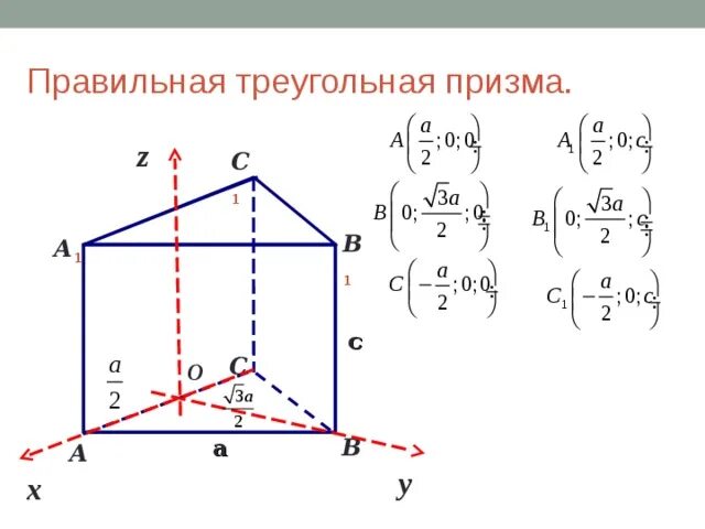 Вершина правильной призмы