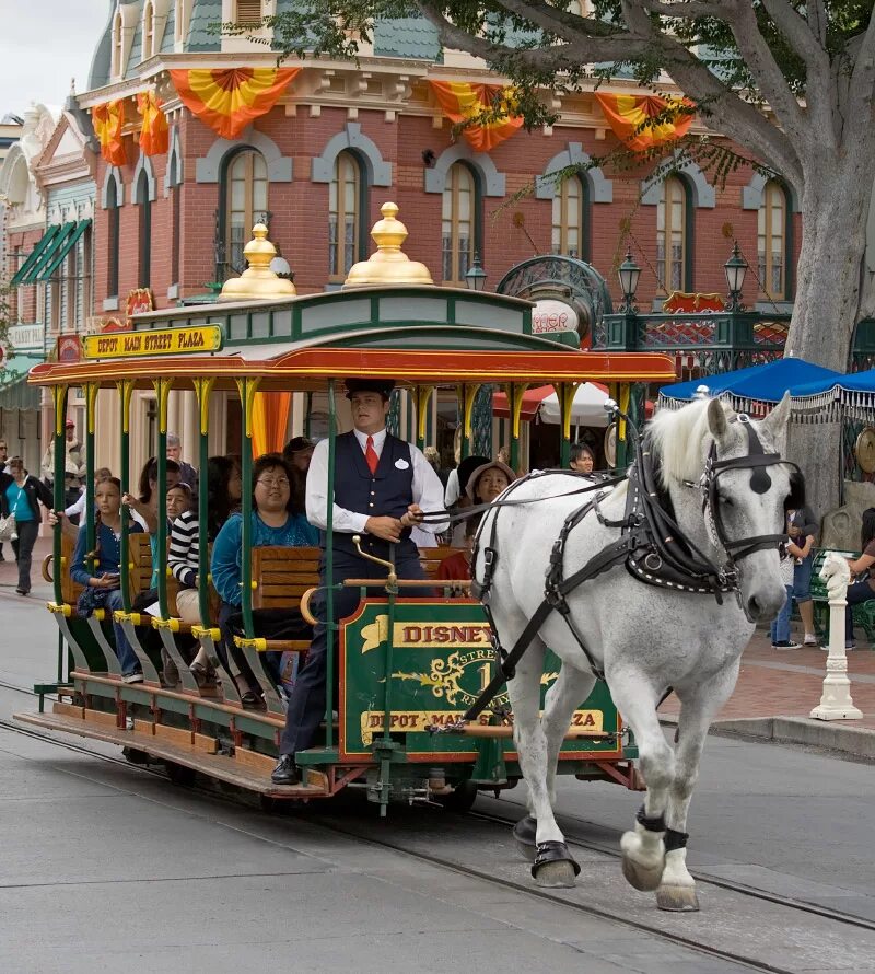 конно железная дорога конка 19 век. первый трамвай конка в санкт-петербурге. дуглас конка. конно-железная дорога конка в петербурге. трамвай конка в москве.