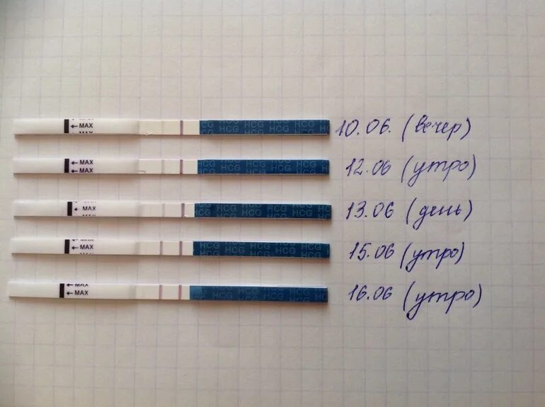 Тест на беременность 5 недель. Тест на беременность 3 недели. Тест на беременность 1 неделя. Тест на беременность 2 недели фото. Тест беременна 2-3 недели.