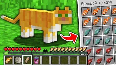 Чем кормить кошку в майнкрафте