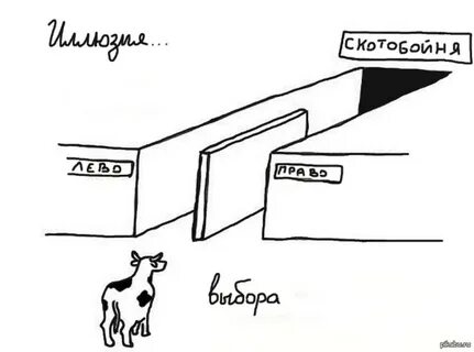 Иллюзия бесконечного выбора