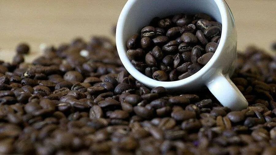 Чашка кофе и шоколад фото. Полезные факты о кофе. Кофе число. Кофе число. К какому роду относится слово кофе в русском языке.