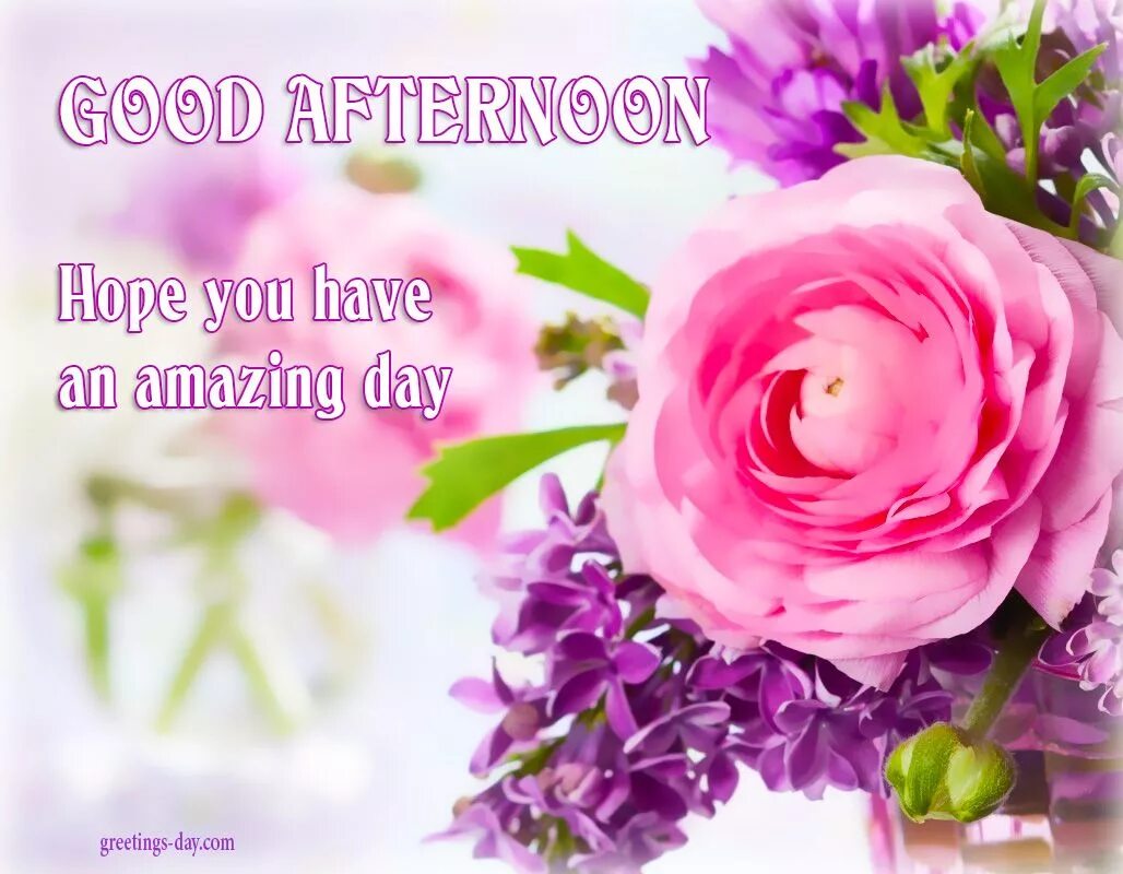 Good afternoon. Good afternoon фото. Good afternoon цветы. Good afternoon Wishes. Good afternoon s