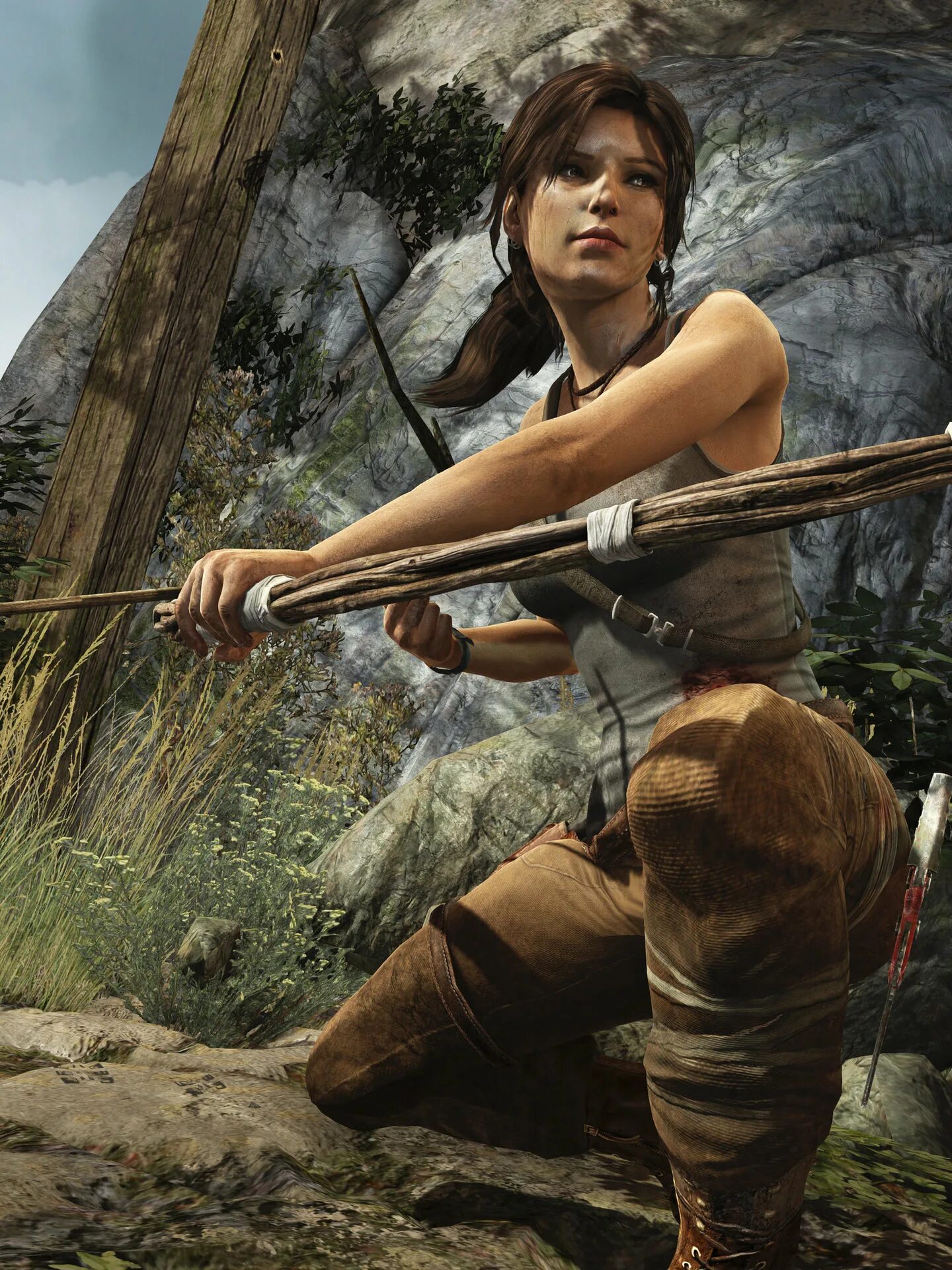 Lara Croft Tomb Raider 2013.