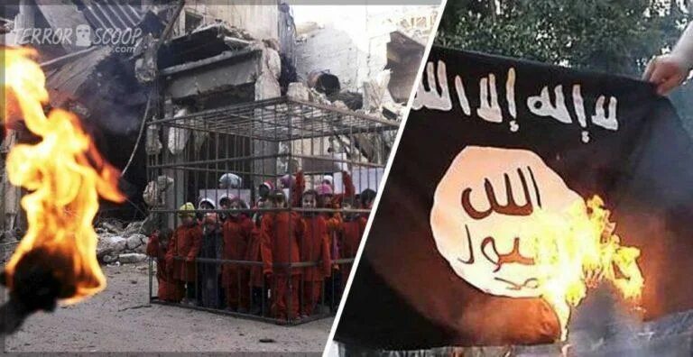 Энергетик с огнем. Берн логотип. Серый берн энергетик. Burn 19. Burn 19.