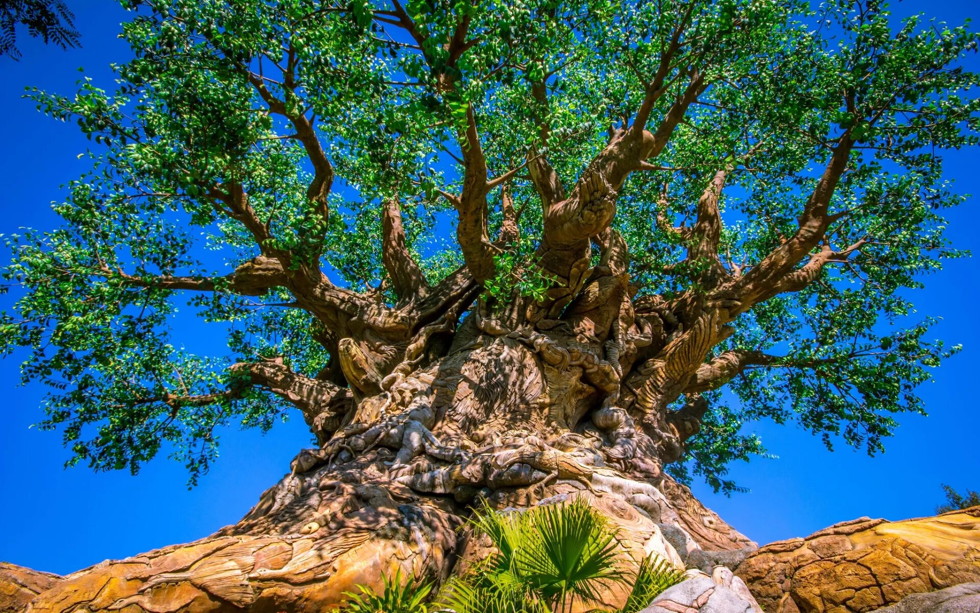 Tree to tree