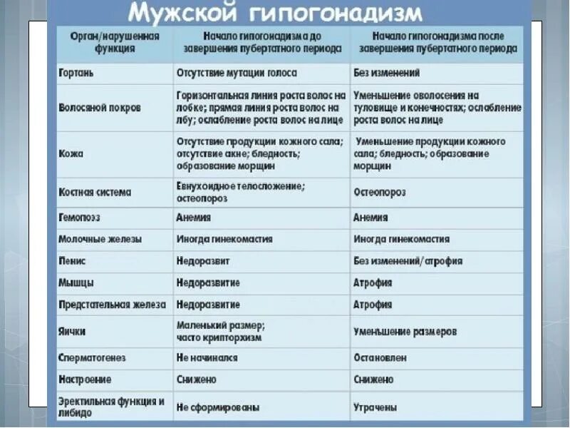 Таблица мужских половых органов