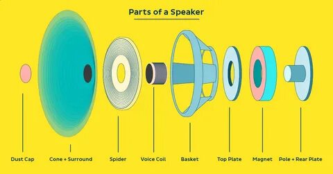 The speaker перевод