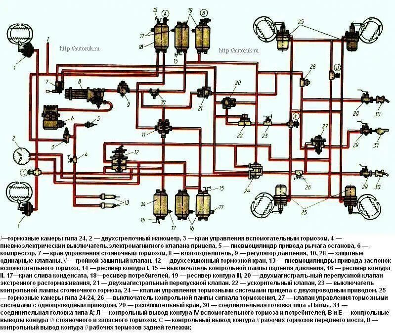 Тормоз камаз евро 5. Тормозная система КАМАЗ 4310 схема цветная. Тормозная система КАМАЗ 5320. Схема тормозной системы КАМАЗ 43118. Пневматический тормозной привод КАМАЗ 5320.