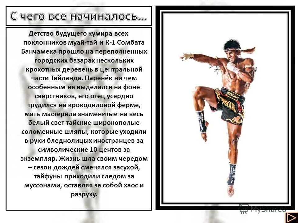 муай тай это жизненный стайл. муай тай это жизненный стайл. муай тай это жизненный стайл. боевые искусства на кухне. мао тай спорт.