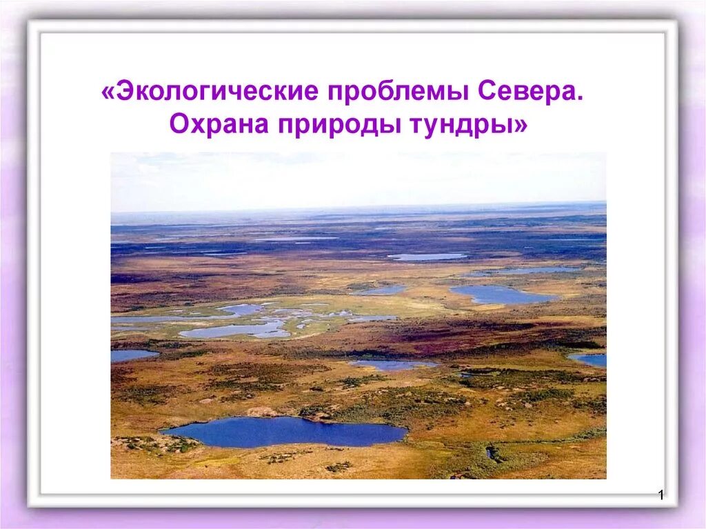 Проблемы севера россии. Экологические проблемы севера охрана природы тундры. Тундра презентация. Тундра 4 класс окружающий мир. Природа тундры рассказ.