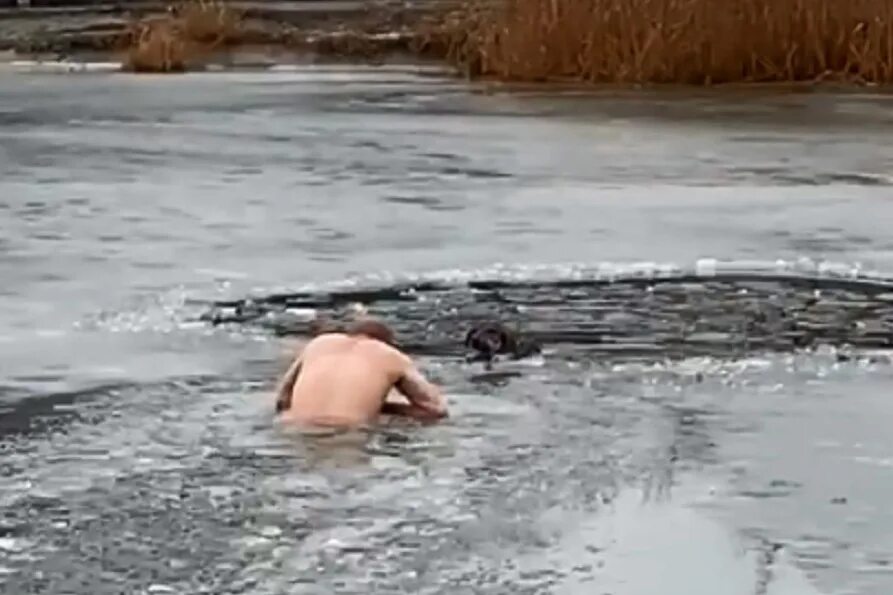 Чтоб не плавать в полынье падеж. Сирениковская полынья на карте. Шла весной по льду свинья ей попалась полынья. Не ходи по льду. Не ходить по льду.