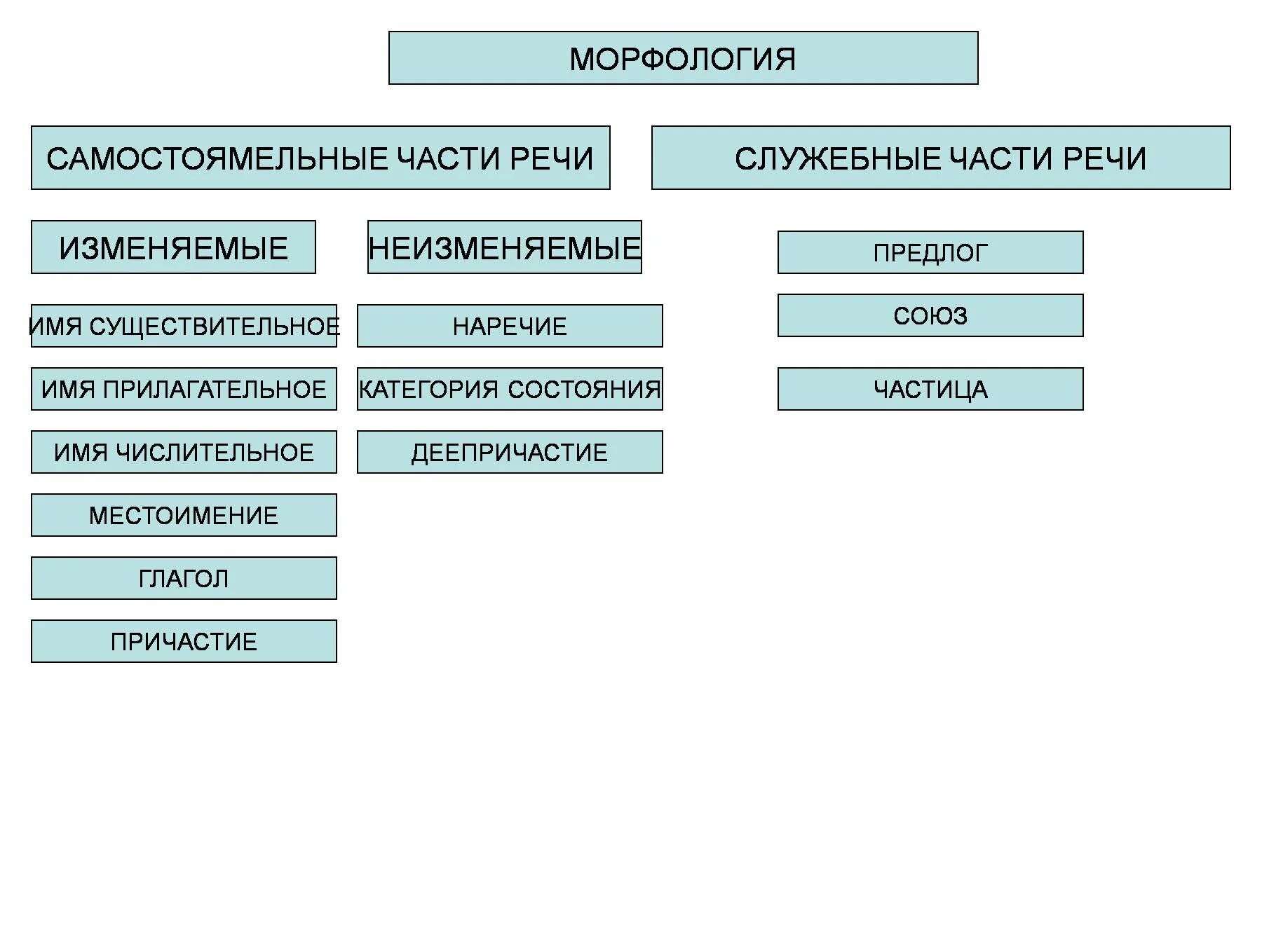 Неизменяемая самостоятельная часть. Морфология схема частей речи. Изменяемые самостоятельные части речи в русском языке. Морфология самостоятельные и служебные части речи. Морфология самостоятельные части речи.