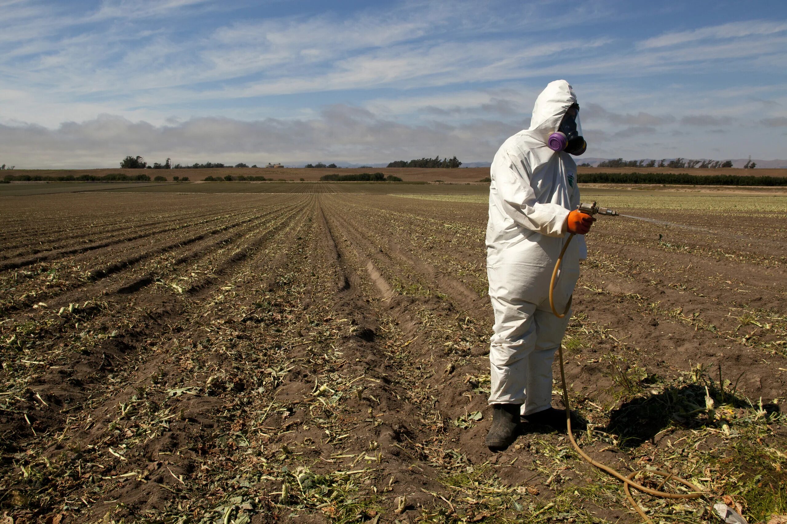 Фитотоксины. Пестицидтер. Фрукты с пестицидами. Фрукты ядохимикаты. Pesticide Resistance.