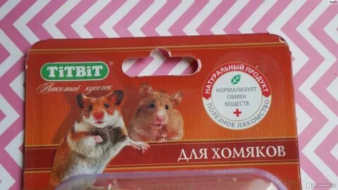 Код на хомяка 8 9