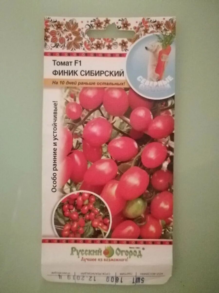 Томаты сорта финик. Помидоры финик сибирский. томат финик розовый русский огород. сибирский финик сорт томатов. томат финик сибирский характеристика и описание.