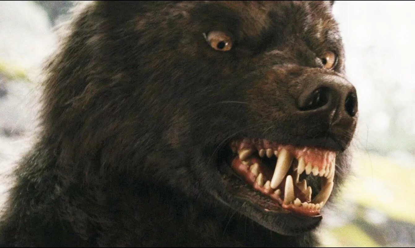 Интересные факты о гиенах 2 класс. Животные индии. 5 растений и 5 животных в африке. Слон. Опасные животные африки.