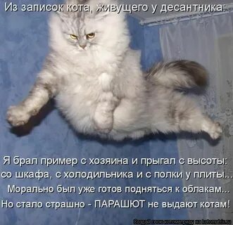 Кому то летать а кому то