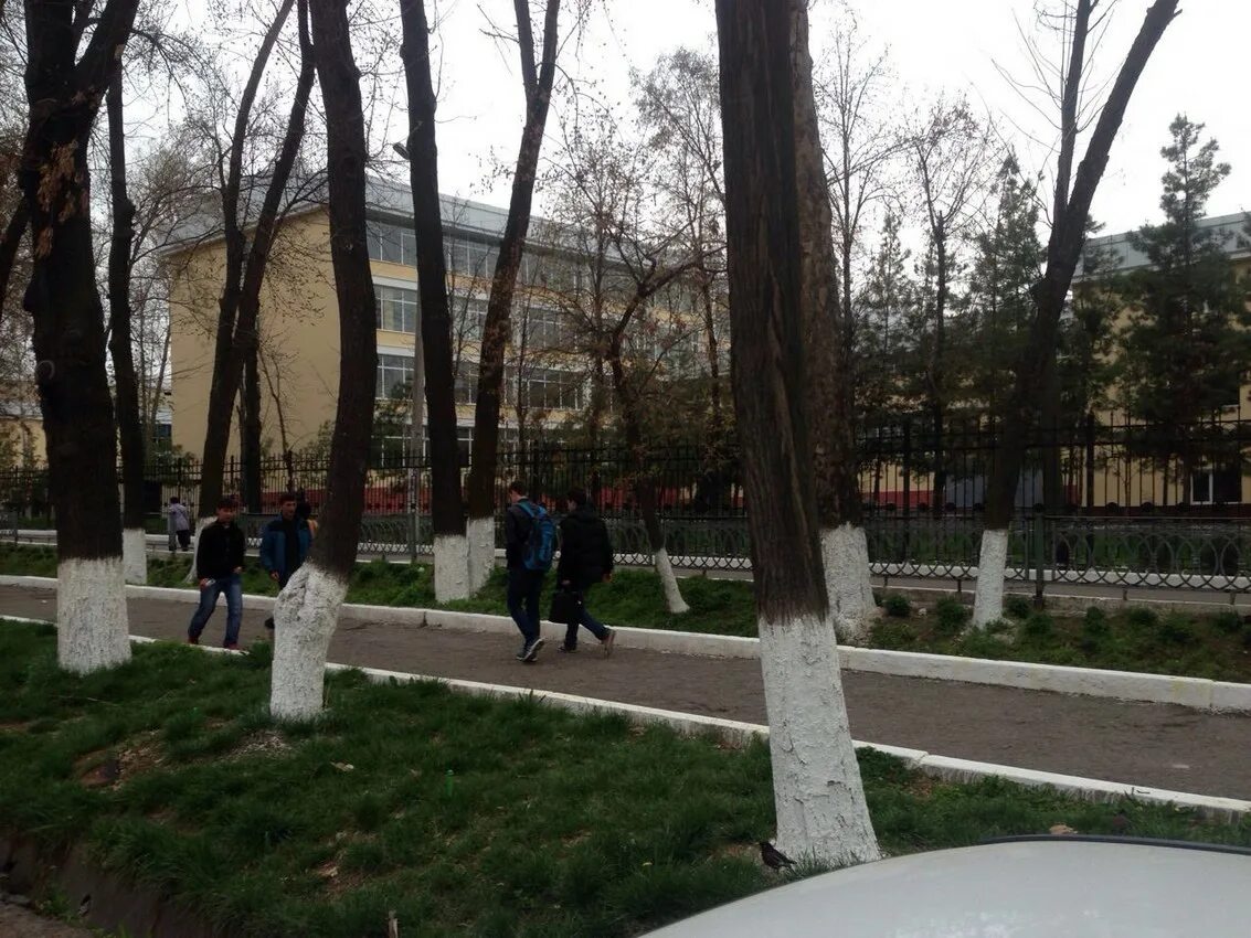 Национальный университет узбекистана имени мирзо улугбека. Ташкент мирзо улугбек университеты. библиотека национального университета имени мирзо улугбека. ректор национальный университет узбекистана имени мирзо улугбека.