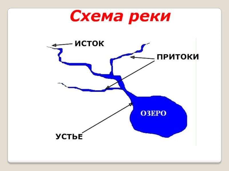 Укажите ошибку в данной схеме истоки реки. Схема реки исток приток устье. устье реки исток приток окружающий мир 3 класс. исток реки устье реки. река исток приток устье рисунок.
