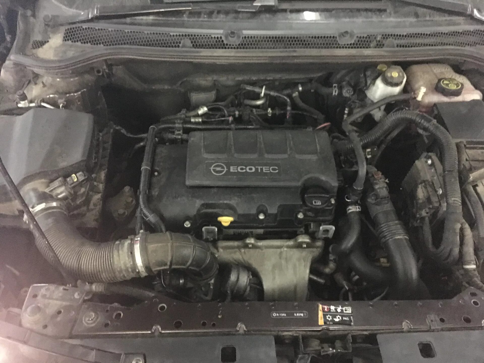 P0011 opel astra j. P0014 opel astra j. P0011 opel astra j. P0011 opel astra j. P0011 opel astra j.