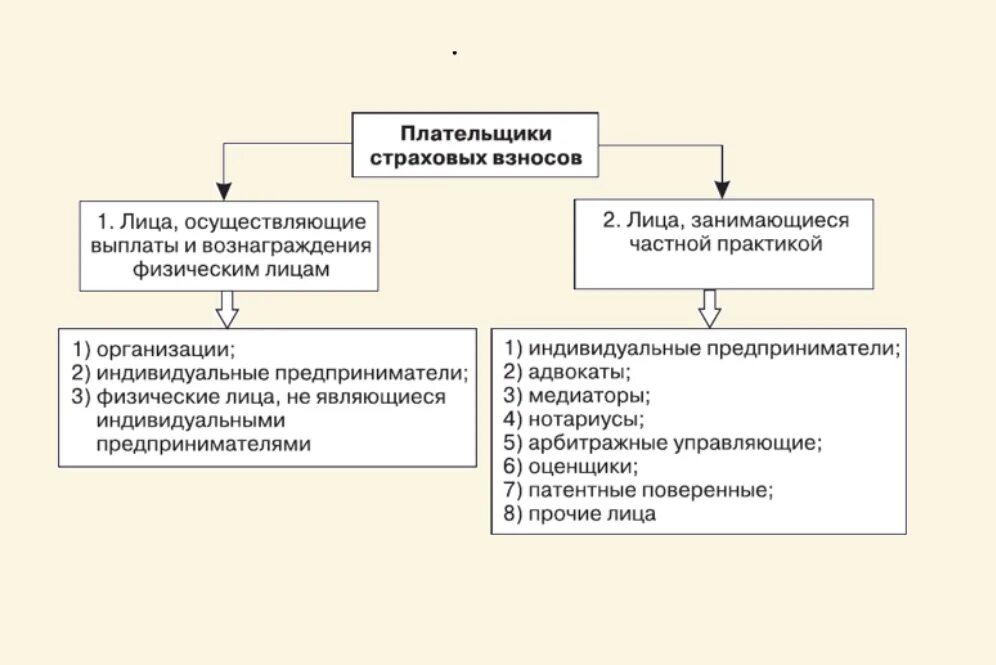 Плательщик фсс