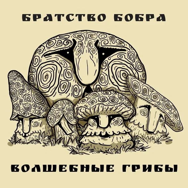 Детские стишки про улитку. Улитка оракул песня. Улитка макросъемка. Братство бобра волшебные грибы. Улитка оракул песня.