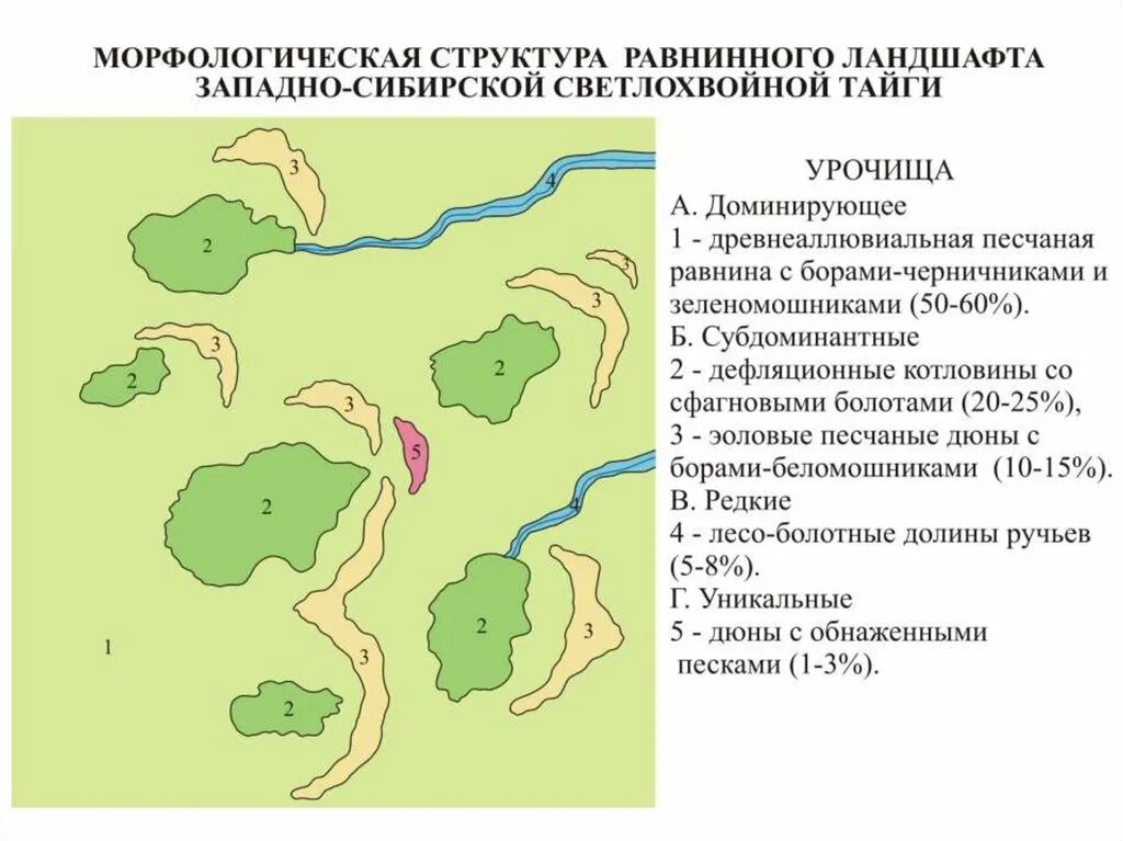 Морфологическая структура водоема. Иерархия природных геосистем. Морфологическая структура ландшафта. Морфологическая структура ландшафта презентация. Схема иерархия природных геосистем.