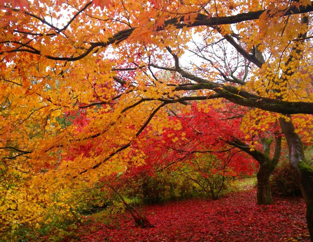 Is a fall