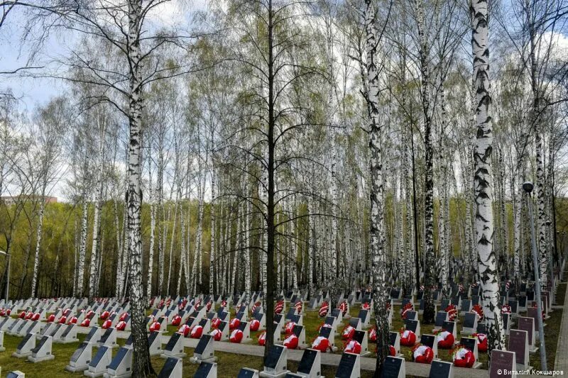 Улица 9 мая пермь. Мемориал Скорбящая мать Пермь. В Перми 9 мая памятник. Пермь в мае. Картинки Пермь ко Дню Победы.