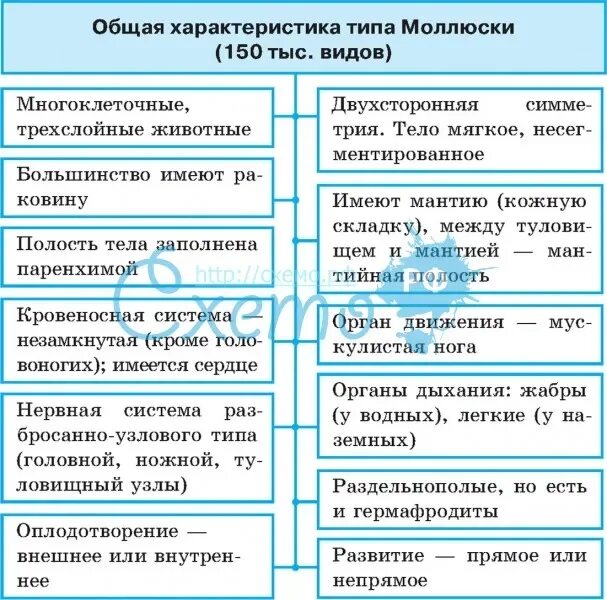 Характеристика моллюсков 7 класс. Сравнительная характеристика классов типа моллюски таблица 7 класс. общая характеристика моллюсков 7 класс биология таблица. таблица классы моллюсков 7 класс биология общая характеристика. моллюски таблица 7 класс биология характеристика.