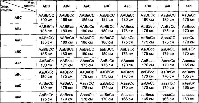 Гамет генотипа aabbcc. Сколько типов гамет образует особь с генотипом. ААВВСС*ААВВСС. Организм с генотипом ААВВСС образует гаметы. Гаметы каких типов образует организм с генотипом ААВВСС.