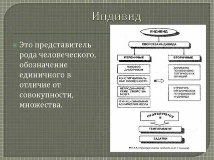 Индивид вторичен общество первично