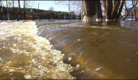 На сколько прибыла вода в реке ишим