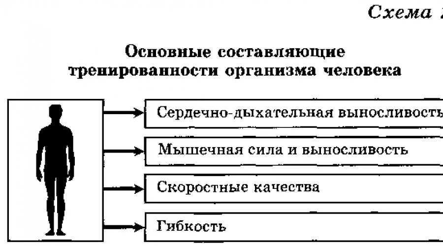 Основные показатели тренированности организма человека схема. Основными составляющими тренированности организма являются. Основные составляющие тренированности организма. Показатели тренированности человека. Уровни тренированности организма