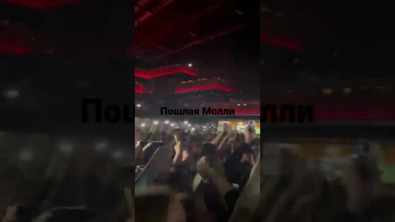Расписание концертов пошлой молли. Расписание концертов пошлой молли