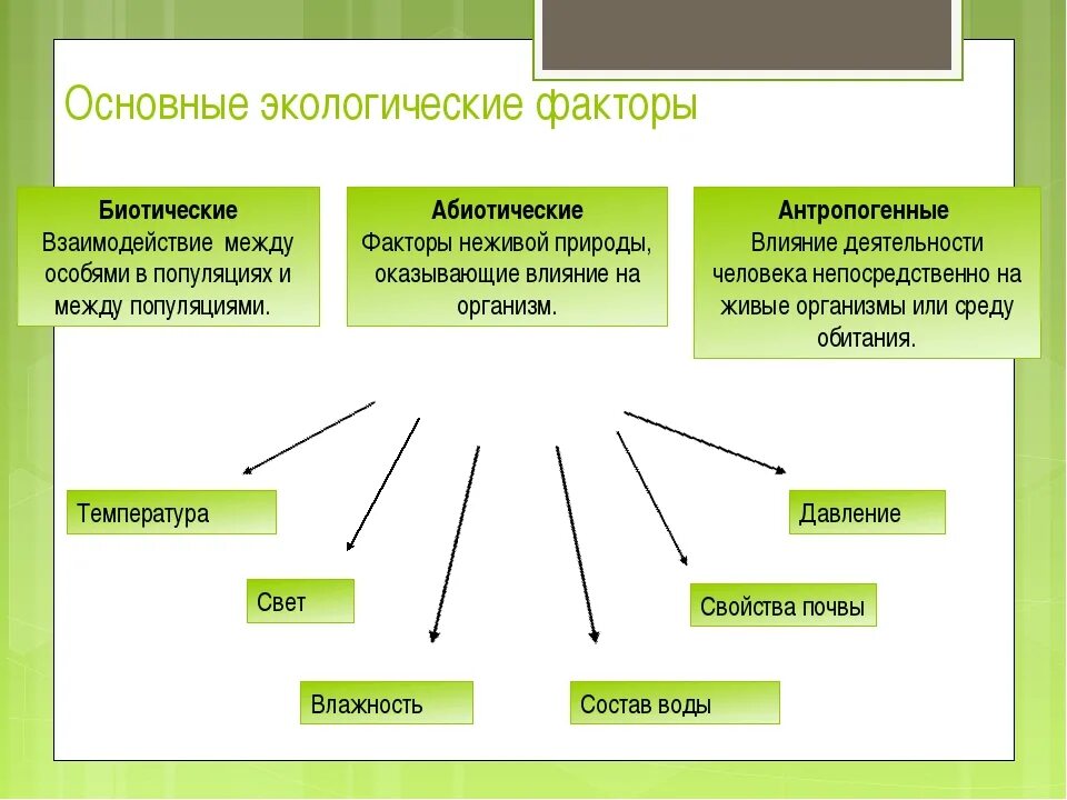 Что из перечисленного связано с экологичным образом. Основанные экологические факторы. Основные экологические факторы. Экологические факторы взаимоотношения организмов. Факторы среды обитания организмов.