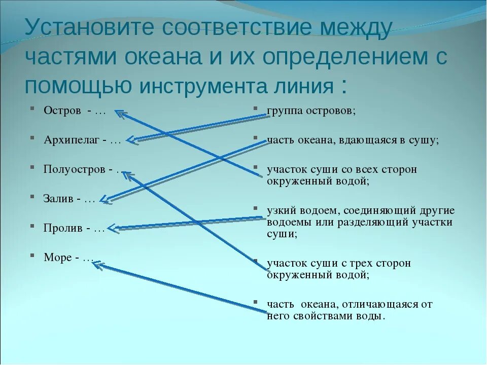 Установите соответствие между зонами океана