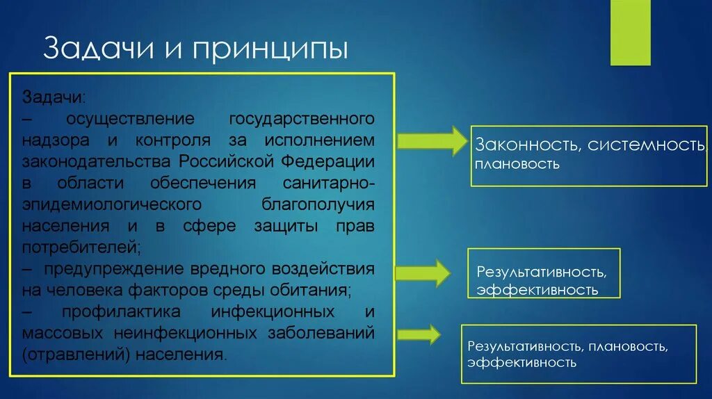 Задачи и принципы производства. Принципы государственного надзора. Принципы и задачи. Задачи контроля. Цели и задачи государственного надзора.