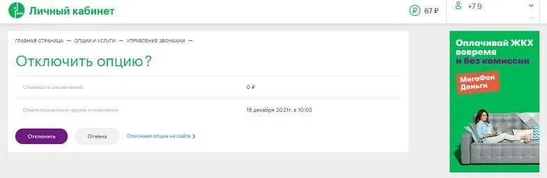 Отключаемые опции в МЕГАФОН. Как отключить опцию +150 минут общения на мегафоне. Как отключить опции. МЕГАФОН подключенные и отключенные опции.