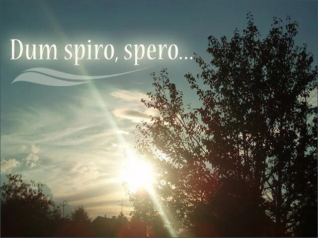 Дум Спиро сперо. Надпись Dum Spiro spero. Dum Spiro spero (пока дышу, надеюсь). Dum Spiro spero перевод.