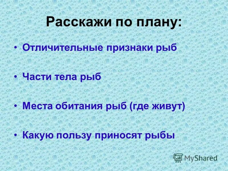 отличительные признаки рыб. отличительные признаки рыб. отличительные признаки групп животных. отличительные признаки рыб. отряд тресковые характеристика.