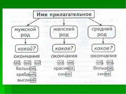 Вода это какой род