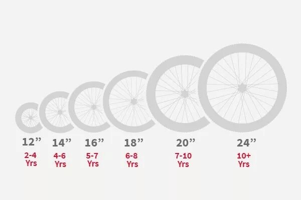 Диаметр колес 20. Велосипед диаметр колес 20. Колесо 24 размер красивое. Bike Wheel 24'' Size in cm. Длина колеса 24 Wheel Size.