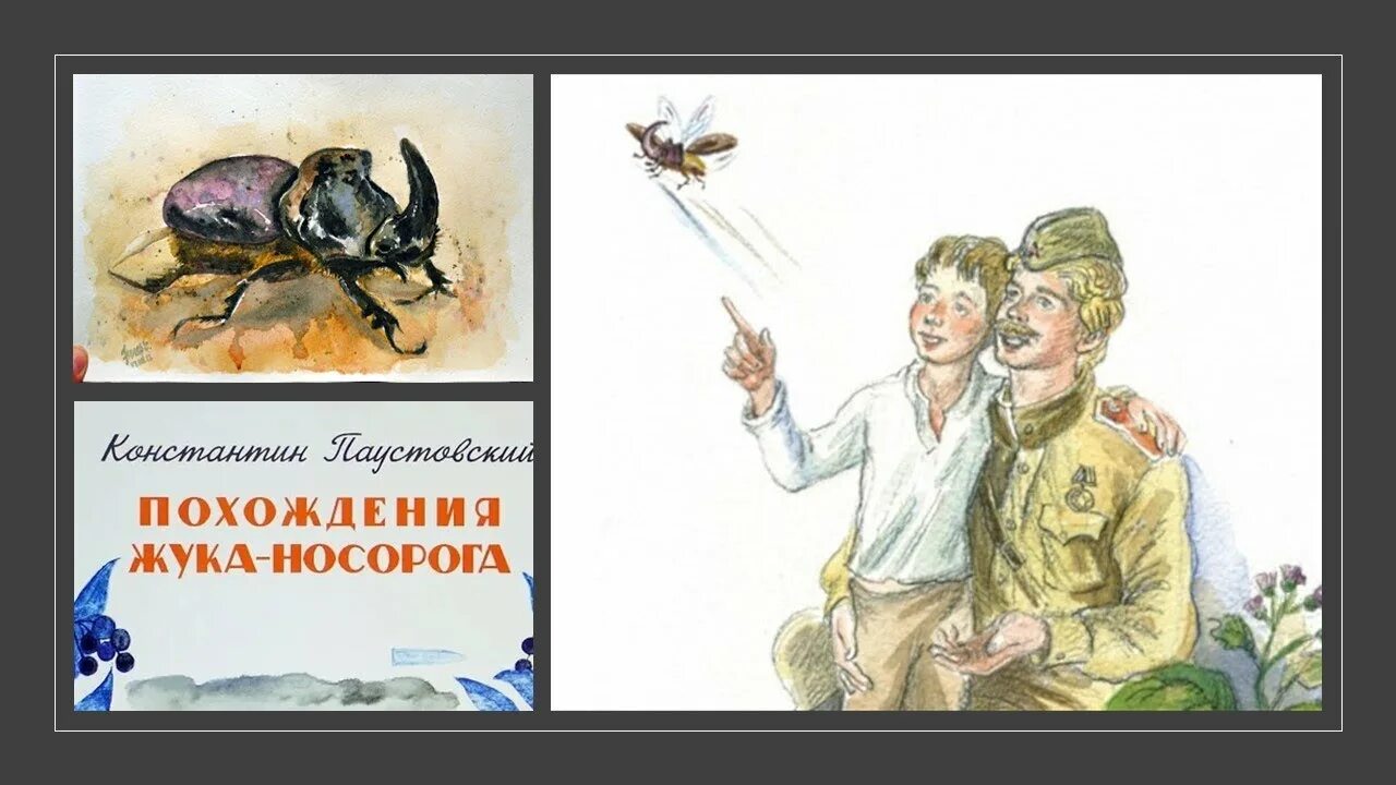 Сказка о жуке носороге паустовский. К Г Паустовский похождения жука-носорога. Книга Паустовский похождения жука носорога. Иллюстрации к сказке к.г.Паустовского похождения жука носорога. Иллюстрация к сказке похождение жука носорога Паустовский.