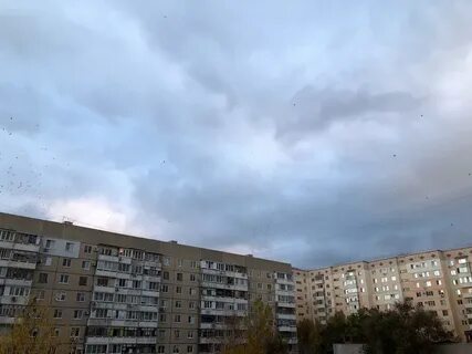 В ближайшее время не ожидается