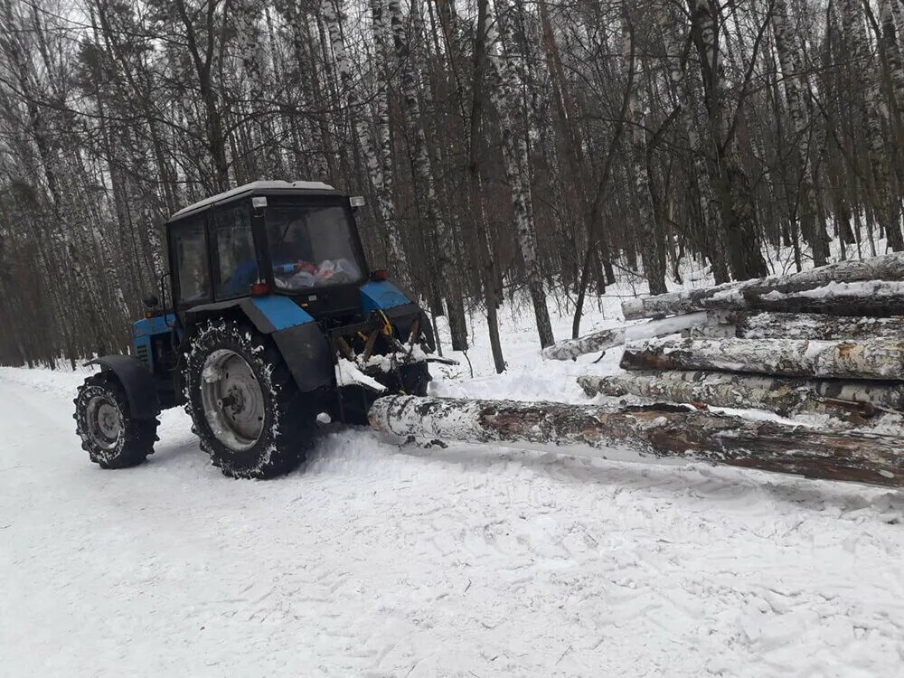 Трелевка мтз 82. Трелевка леса на мтз 82. Трелевка мтз. Трактор вытаскивает дерево. Мтз 82 в лесу на трелевке.